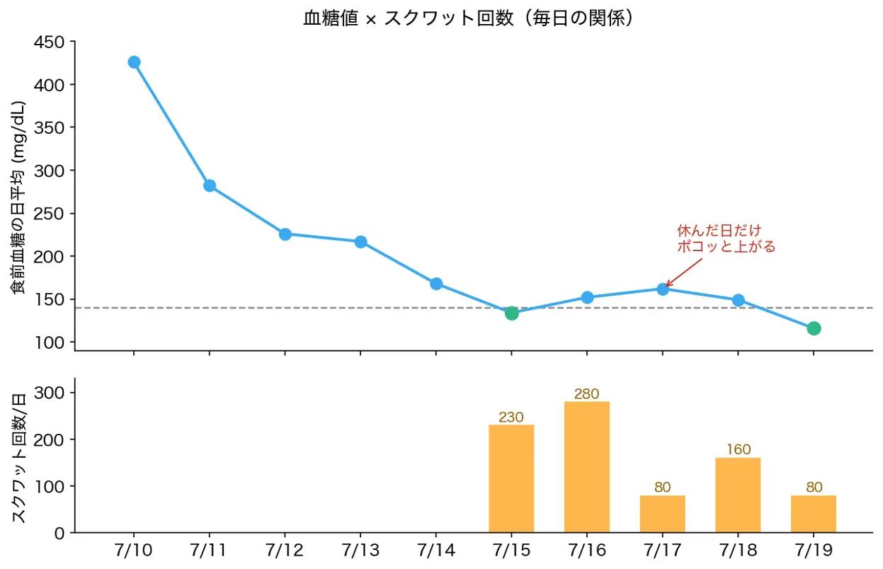 血糖値の日平均とスクワット回数の2段グラフ。スクワットを休んだ日だけ血糖値が上がっている
